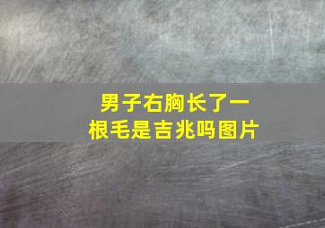 男子右胸长了一根毛是吉兆吗图片