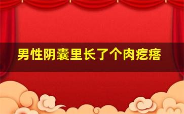 男性阴囊里长了个肉疙瘩