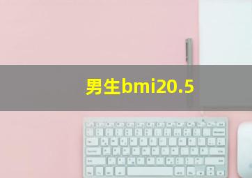 男生bmi20.5