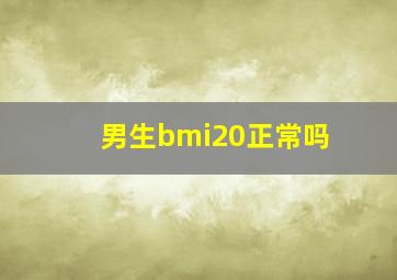 男生bmi20正常吗