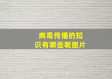 病毒传播的知识有哪些呢图片