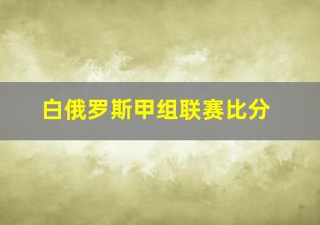 白俄罗斯甲组联赛比分