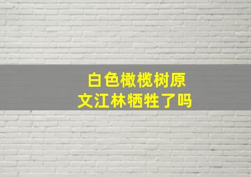 白色橄榄树原文江林牺牲了吗