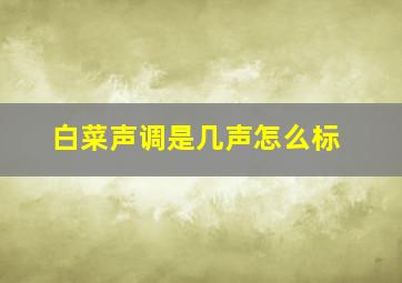 白菜声调是几声怎么标