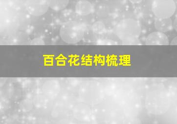 百合花结构梳理