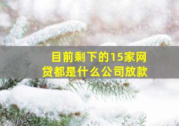 目前剩下的15家网贷都是什么公司放款