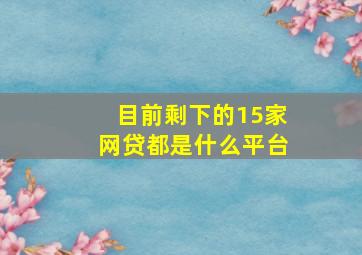 目前剩下的15家网贷都是什么平台