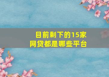 目前剩下的15家网贷都是哪些平台