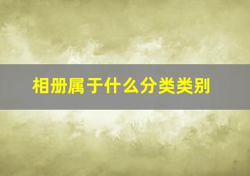 相册属于什么分类类别