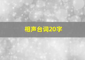 相声台词20字