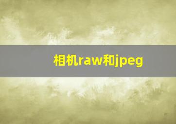 相机raw和jpeg