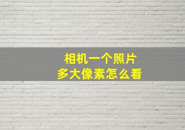 相机一个照片多大像素怎么看