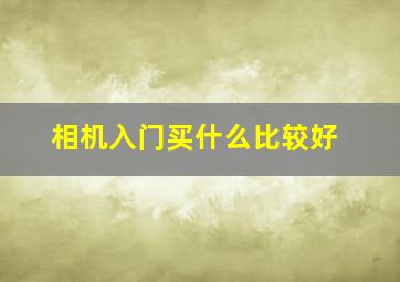 相机入门买什么比较好