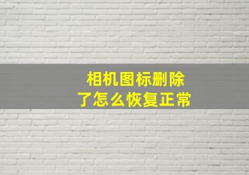 相机图标删除了怎么恢复正常