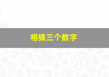 相猜三个数字