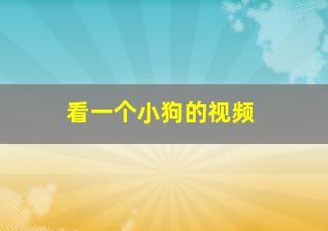 看一个小狗的视频