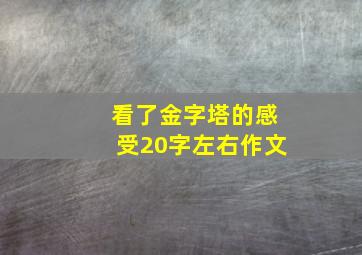 看了金字塔的感受20字左右作文