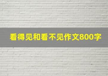 看得见和看不见作文800字