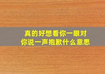 真的好想看你一眼对你说一声抱歉什么意思