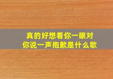 真的好想看你一眼对你说一声抱歉是什么歌