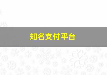 知名支付平台