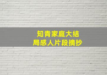 知青家庭大结局感人片段摘抄