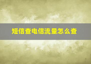 短信查电信流量怎么查