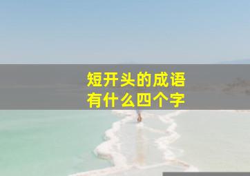 短开头的成语有什么四个字