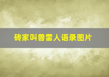 砖家叫兽雷人语录图片