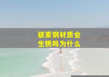 碳素钢材质会生锈吗为什么