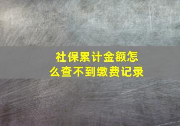 社保累计金额怎么查不到缴费记录