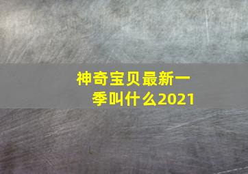 神奇宝贝最新一季叫什么2021