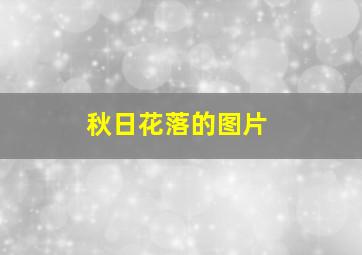 秋日花落的图片