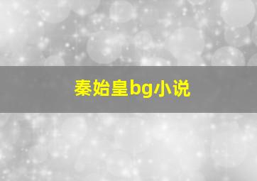 秦始皇bg小说