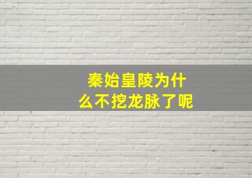 秦始皇陵为什么不挖龙脉了呢