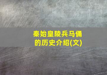 秦始皇陵兵马俑的历史介绍(文)