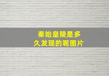 秦始皇陵是多久发现的呢图片