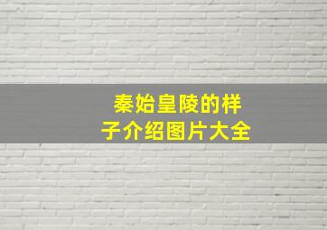 秦始皇陵的样子介绍图片大全