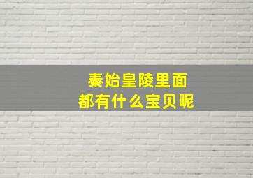 秦始皇陵里面都有什么宝贝呢