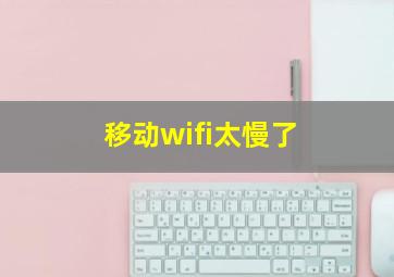 移动wifi太慢了