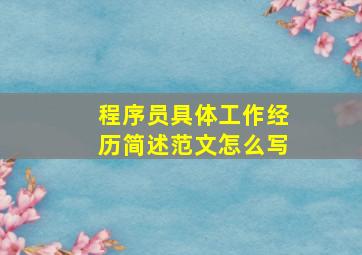 程序员具体工作经历简述范文怎么写