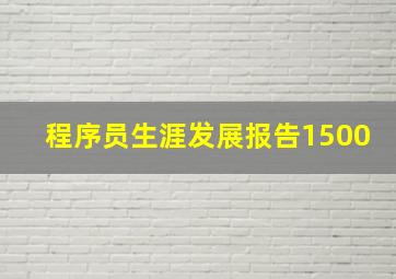 程序员生涯发展报告1500