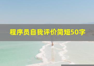 程序员自我评价简短50字