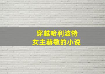 穿越哈利波特女主赫敏的小说