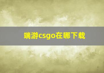 端游csgo在哪下载