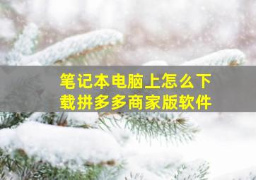 笔记本电脑上怎么下载拼多多商家版软件