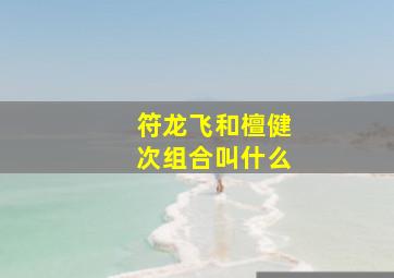 符龙飞和檀健次组合叫什么