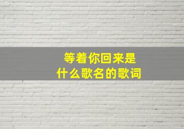 等着你回来是什么歌名的歌词