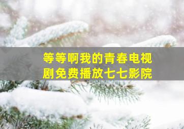 等等啊我的青春电视剧免费播放七七影院