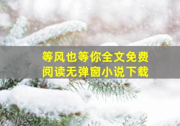 等风也等你全文免费阅读无弹窗小说下载